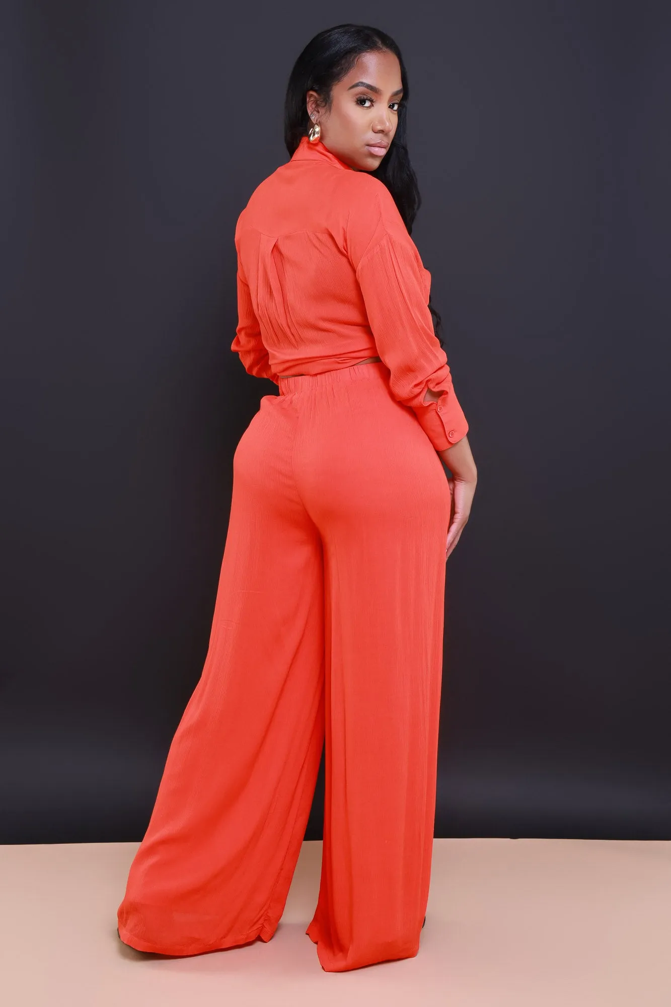Live A Little Pleated Wide Leg Pants - Orange